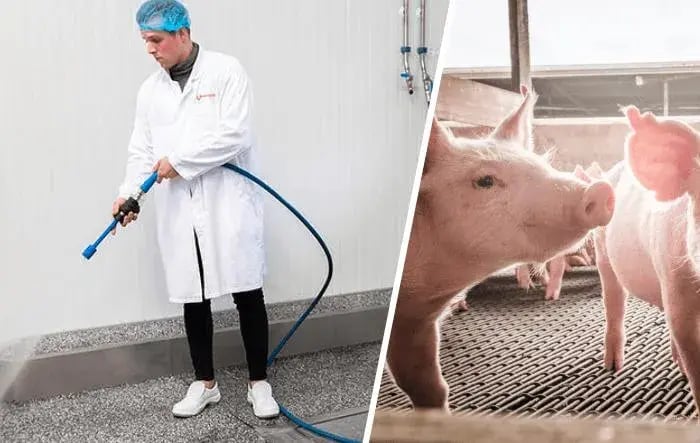 Meer werkplezier door goede hygiëne in de varkenshouderij